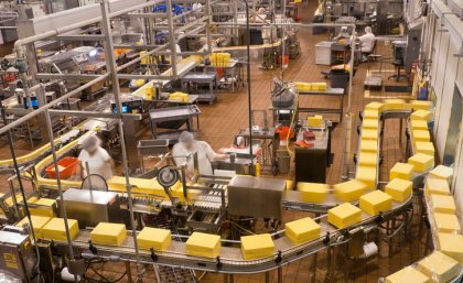 The discovery is important for industrial cheesemaking. iStockphoto The discovery is important for industrial cheesemaking. iStockphoto